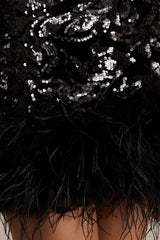 Stardust | Black Sequined Velvet Crew-Neck Mini Dress With Feather Trim