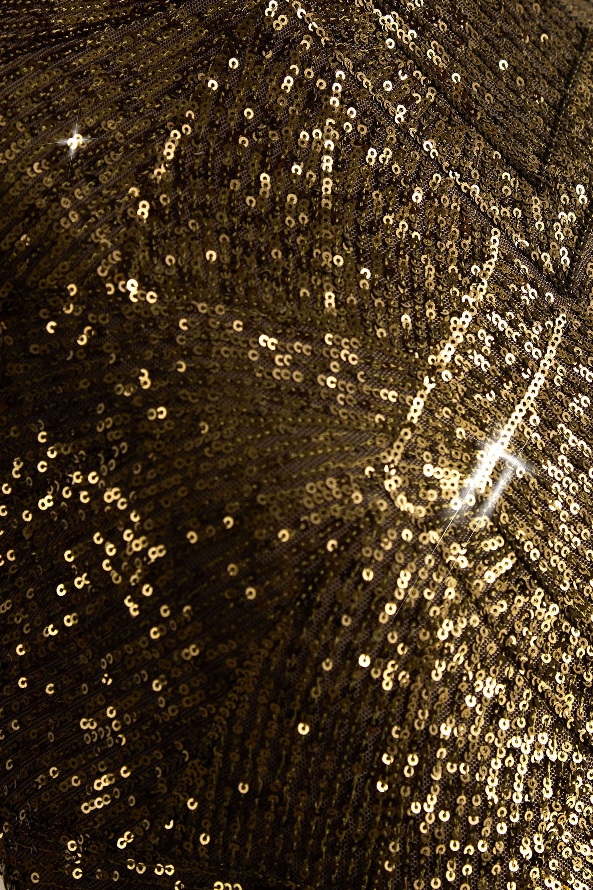 Cecy | Khaki Sequin High-Neck Maxi Dress With Cap Sleeves