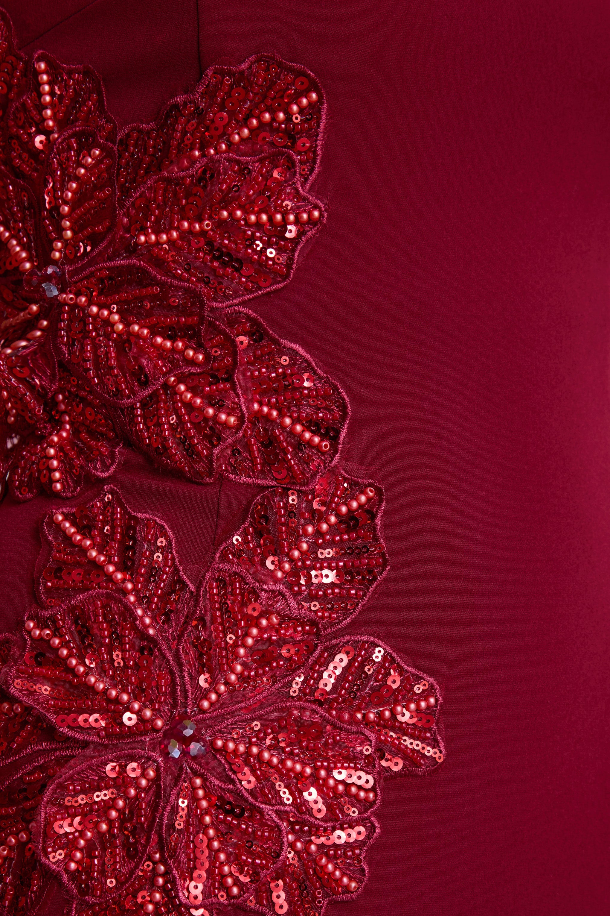 Aylana | Burgundy Bandeau Maxi Dress With Embellished Detail