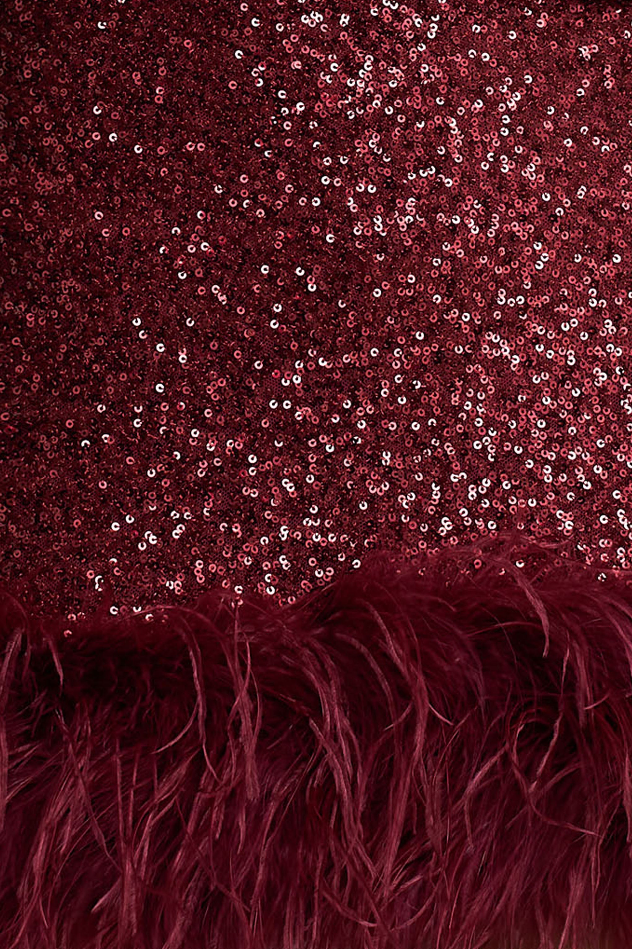 Rosalinda | Burgundy Sequin Square-Neck Mini Dress With Feather Trim